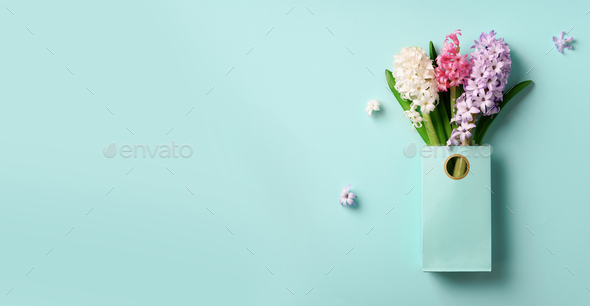 Spring hyacinth flowers in shopping paper bag on blue punchy pastel background. Banner with copy - Stock Photo - Images