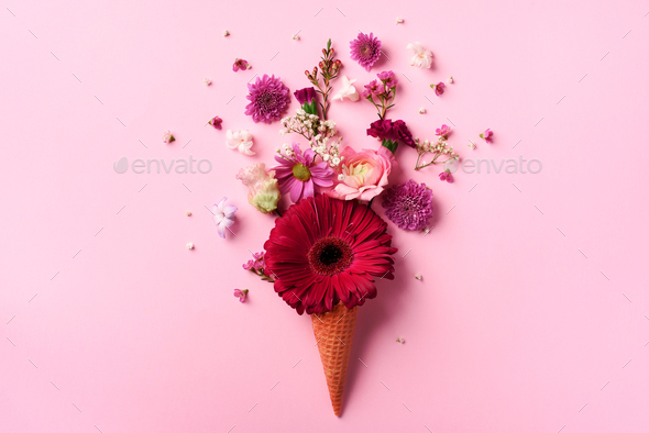 Summer minimal concept. Ice cream cone with pink flowers and leaves on punchy pastel background - Stock Photo - Images