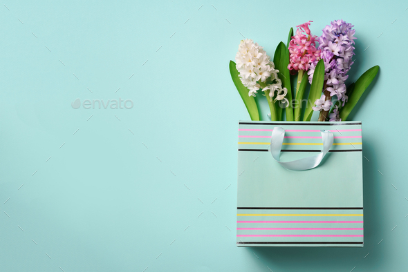 Fresh hyacinth flowers in shopping bag on blue punchy pastel background. Banner with copy space - Stock Photo - Images
