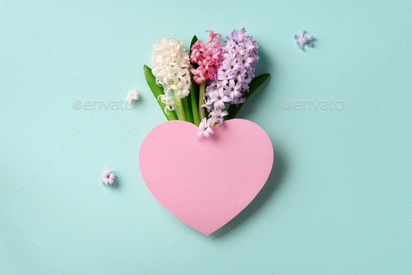 Spring hyacinth flowers and pink paper heart on blue punchy pastel background. Square crop. Spring - Stock Photo - Images