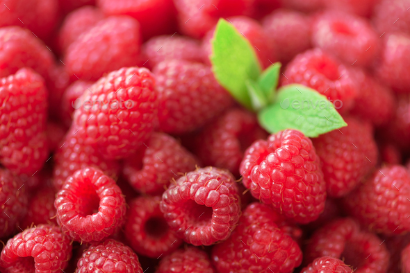 Fresh organic raspberries with mint leaves. Fruit background with copy space. Summer and berries - Stock Photo - Images