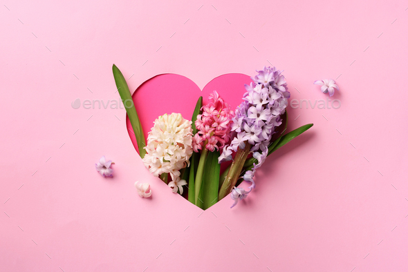 Hyacinth flowers in hole in heart shaped form over pink punchy pastel background. Top view, flat lay - Stock Photo - Images