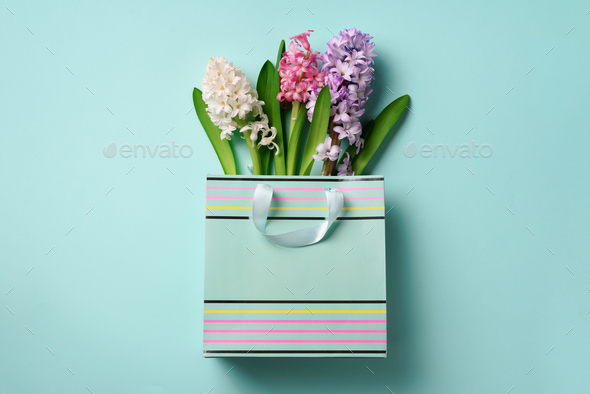 Spring hyacinth flowers in shopping paper bag on blue punchy pastel background. Banner with copy - Stock Photo - Images