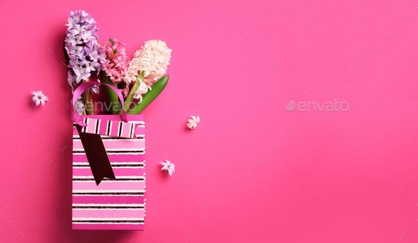 Spring hyacinth flowers in shopping paper bag on pink punchy pastel background. Banner with copy - Stock Photo - Images