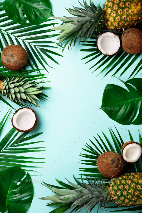Exotic pineapples, ripe coconuts, tropical palm and green monstera leaves on blue background with - Stock Photo - Images