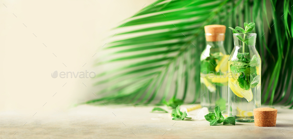 Citrus lemonade - mint, lemon and tropical palm leaves on grey background. Detox drink. Banner with - Stock Photo - Images