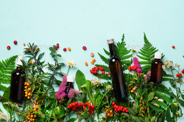 Essential oils in dark glass bottles and healing flowers, herbs on blue background. Holistic - Stock Photo - Images