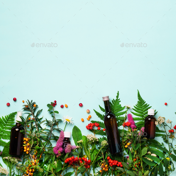 Essential oils in dark glass bottles and healing flowers, herbs on blue background. Holistic - Stock Photo - Images