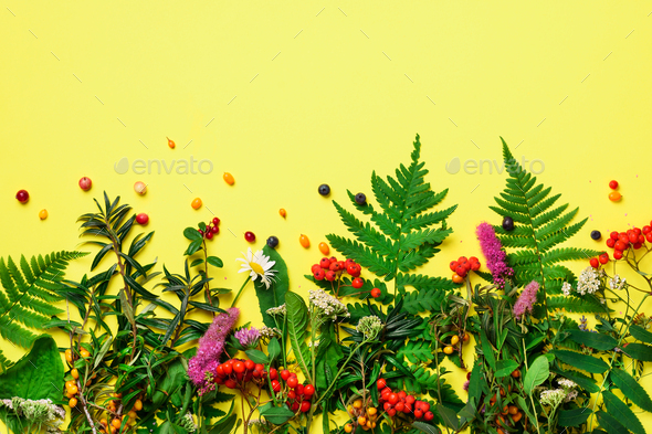 Ingredients of herbal alternative medicine, holistic and naturopathy approach on yellow background - Stock Photo - Images