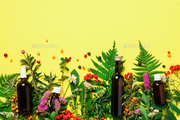 Essential oils in dark glass bottles and healing flowers, herbs on yellow background. Holistic - Stock Photo - Images