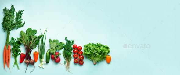 Organic vegetables and garden tools on blue background with copy space. Banner. Top view of carrot - Stock Photo - Images