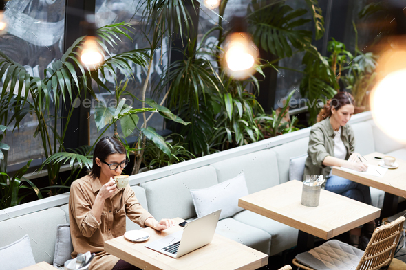 Lady drinking coffee while working in cafe - Stock Photo - Images