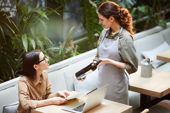 Advising good wine to customer in cafe - Stock Photo - Images
