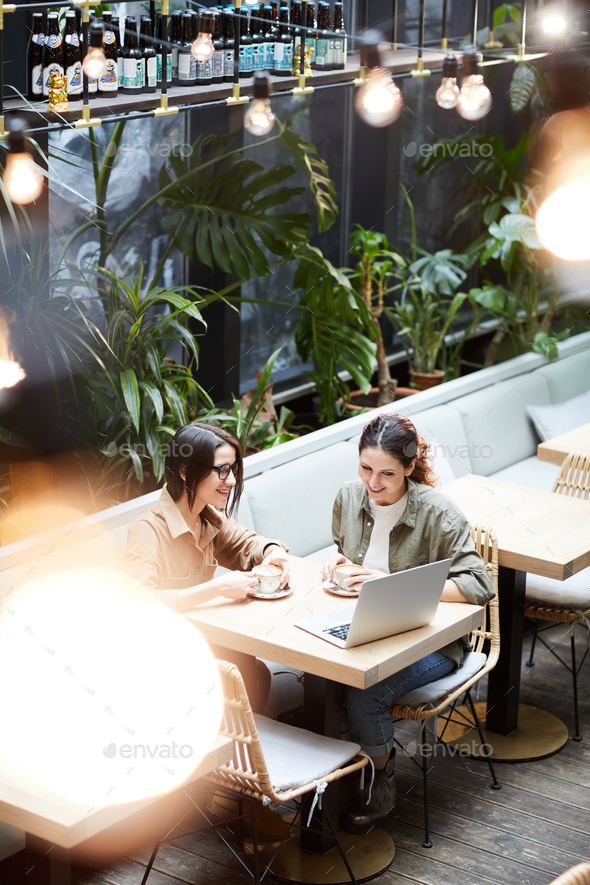Content women watching presentation on laptop - Stock Photo - Images