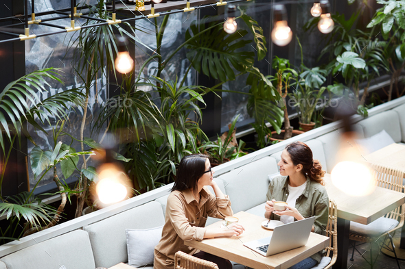 Lady entrepreneurs discussing strategy in cafe - Stock Photo - Images