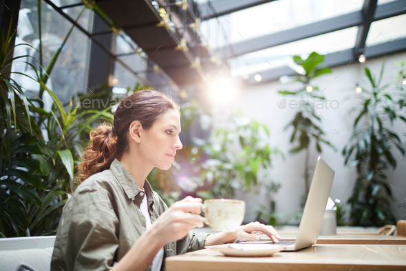 Concentrated freelancer working on online project - Stock Photo - Images