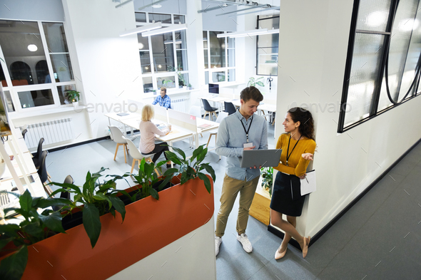 Young colleagues viewing files on laptop - Stock Photo - Images