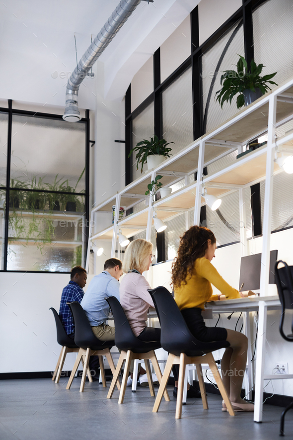Creative colleagues working in modern office - Stock Photo - Images