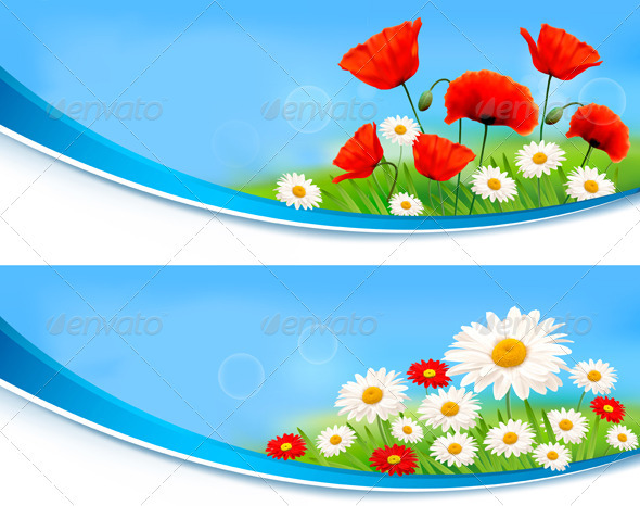 Beautiful banners with daisies and poppies.