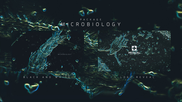 Microbiology Package - VideoHive 24386328