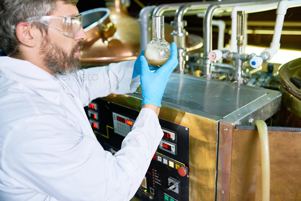 Bearded Brewer Checking Beer Quality - Stock Photo - Images