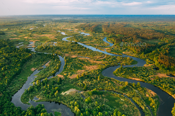 Aerial View Green Forest Woods And River Landscape In Sunny Spri - Stock Photo - Images