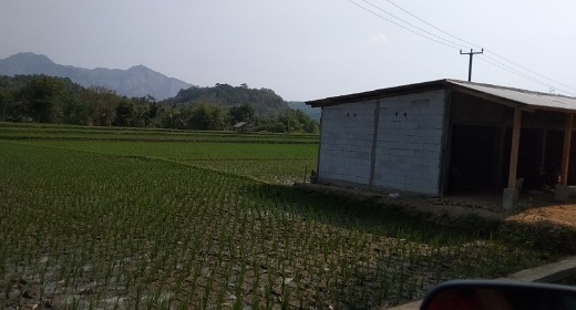 when the scene is created