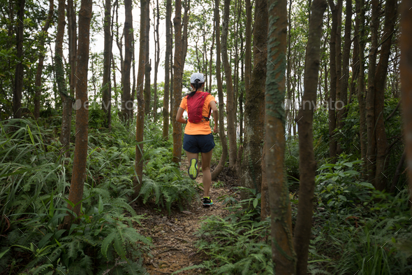 Rainforest Trail Run