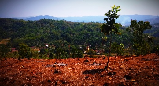 rural natural scenery