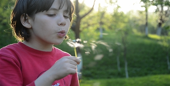 Girl And Dandelions 6