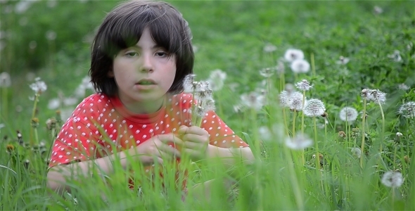 Girl And Dandelions 7