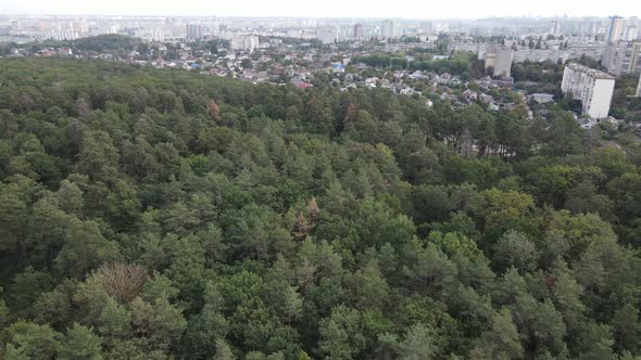 Aerial View of the Border of the Metropolis and the Forest. Kyiv, Ukraine alt