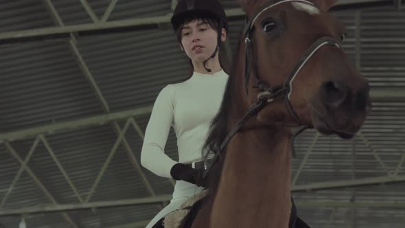Rider mounts her saddled horse