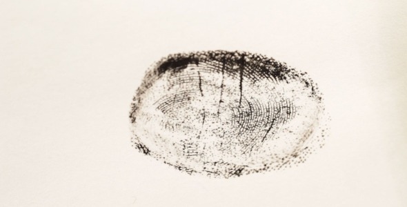 Investigating Fingerprints alt
