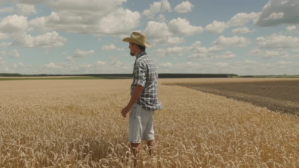 A man farmer in a straw hat staying on a wheat field and looks around alt