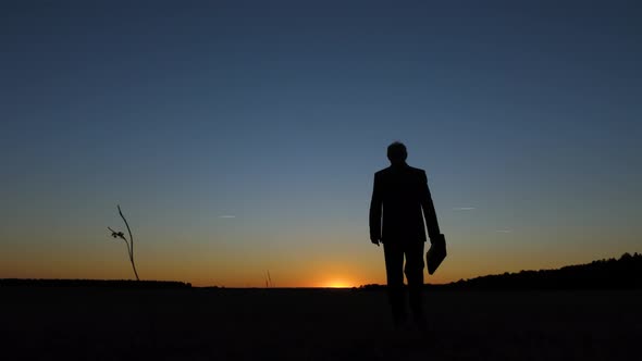 Silhouette of Businessman with Briefcase Walking Across Field at Sunset alt