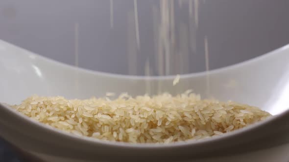 Rice Grains  alt