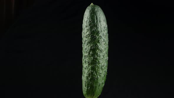 Cucumber close up texture