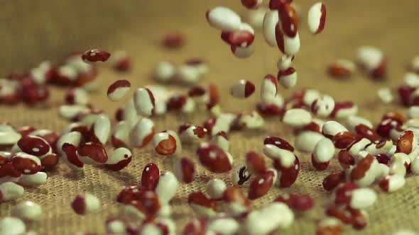 Processed Beans Dropping on Sack Cloth, Agricultural Industry, Food Production alt