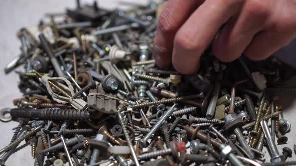 Hand Putting and Sorting Screws Nails Bolts and Washers on the Table alt