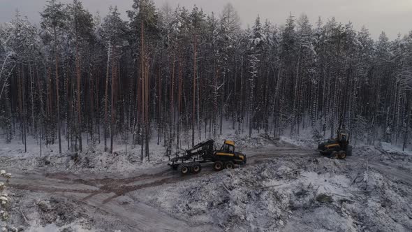 Forest harvester and forwarder drive into the winter forest 01 alt