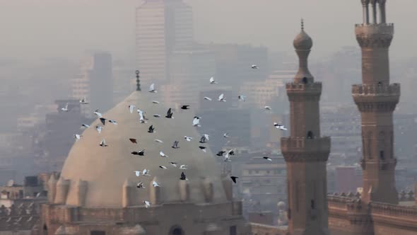 Slow Motion Shot of Pigeons Birds Flies Against Background of Mosque Madrasa of Sultan Hassan Cairo alt