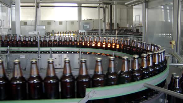 General Shot of Packing Workshop of Beer Factory, Bottles Are Moving on Conveyor