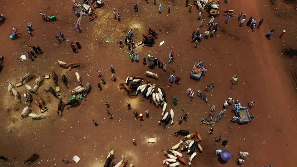Africa Mali Village And Cattle Market Aerial View
