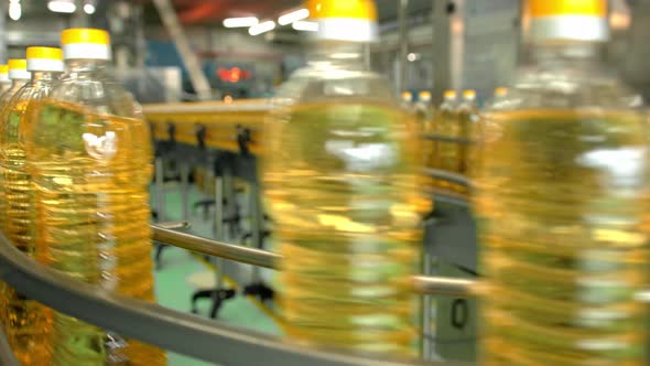 Sunflower Oil in the Bottle Moving on Production Line. alt