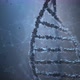 DNA Molecular Genetic Science Biotechnology - VideoHive Item for Sale
