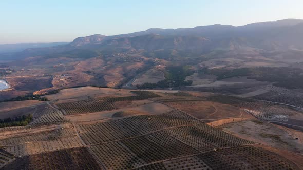 Drone View of Beautiful Agricultural Landscape with Mountains and Farmland alt