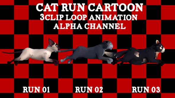 Cat Run Cartoon 3Clip Loop