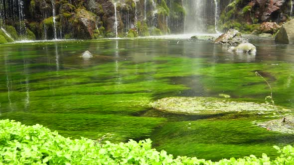 Scenic Nature of Beautiful Waterfall and Pool of Fresh Water with Green Seaplant
