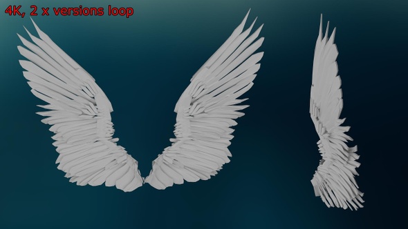 Angel Wings Idle